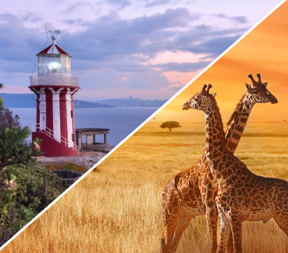 The Wild Heart of South Africa | 13 Nights