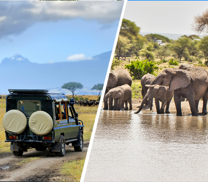 Big Five Safari and Zanzibar Retreat