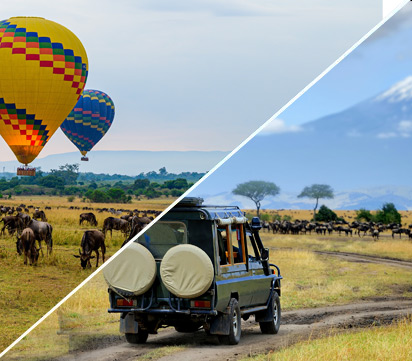African Dream Safari Adventure