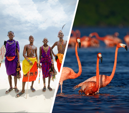 Kenya & Zanzibar Signature Journey