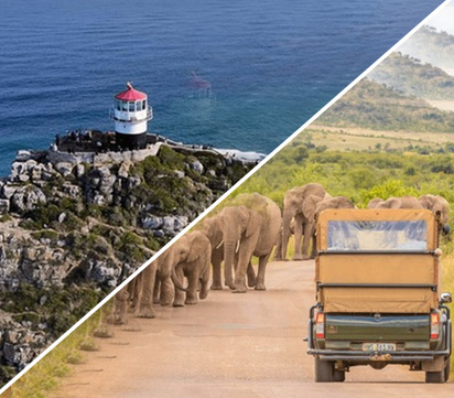Roar Across South Africa | 9 Nights