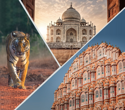 Golden Triangle with Ranthambore