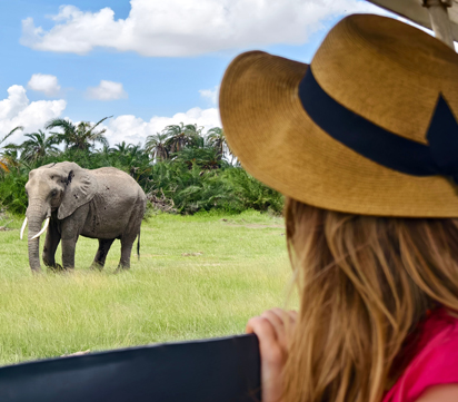 Luxury Tanzania Safari & Zanzibar Escape