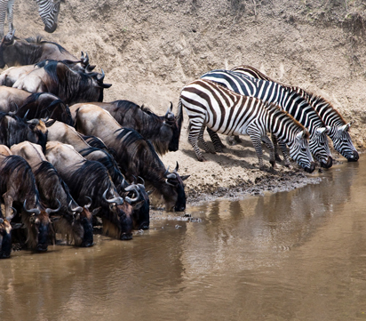 Masai Mara & Zanzibar Getaway
