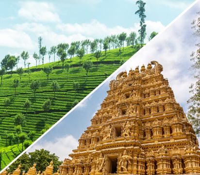 South India Wildlife and Heritage Tour