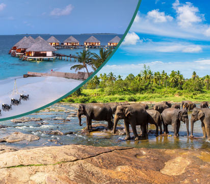 Sri Lanka Wonder's Magical Journey with Maldives