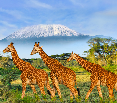 Tanzania Luxe Escape with Zanzibar Bliss