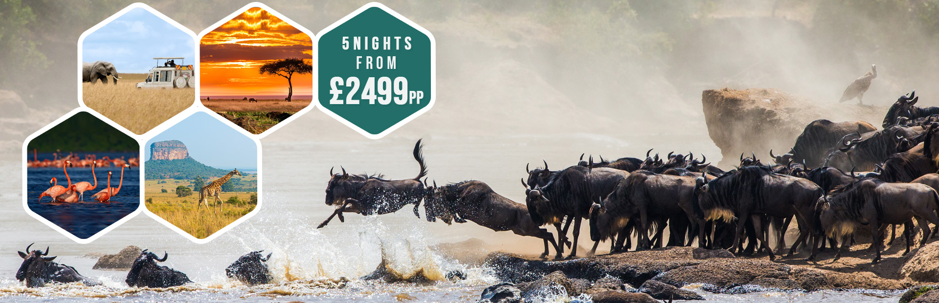 /images/dealsbanner/masai-mara-new2-new.jpg
