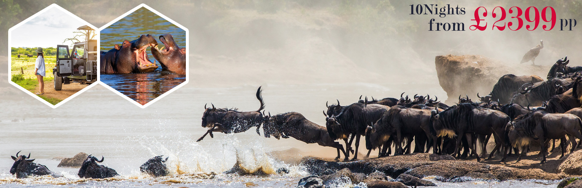 /images/dealsbanner/masai-mara-zanzibar-new.jpg