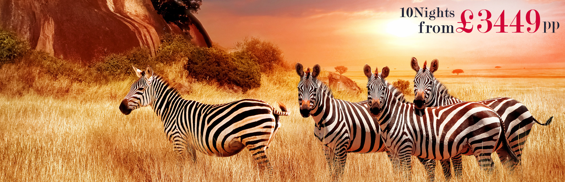/images/dealsbanner/tanzania-safari-with-zanzibar_lg3-new_1.jpg