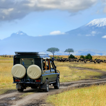 /images/destination/1-arrival-and-transfer-to-arusha.jpg