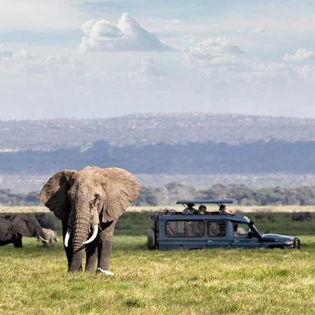 /images/destination/4-full-day-exploration-of-serengeti.jpg