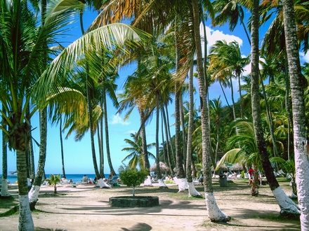 /images/destination/Day4-Isoladicocco-beach-resort_1.jpg