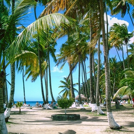 /images/destination/ayurvedic-rejuvenation-getaway-4.jpg
