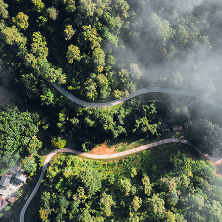 /images/destination/calicut-to-wayanad_1.jpg