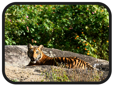 /images/destination/day-10-douth-india-unveiled_1.png