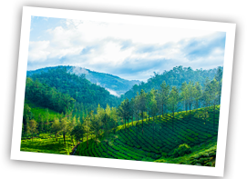 /images/destination/day-10-explore-thekkady_1.png