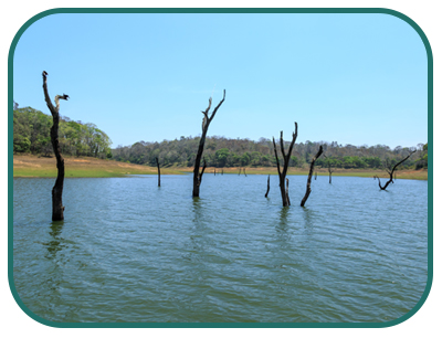 /images/destination/day-13-royal-t-kerala_1.jpg