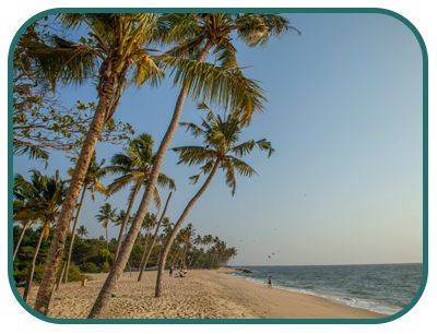 /images/destination/day-14-golden-t-kerala_2.jpg