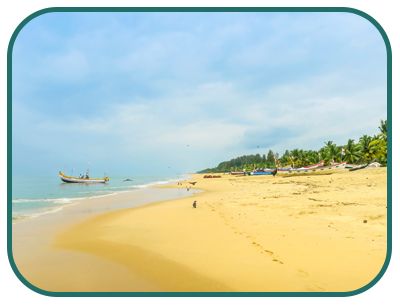 /images/destination/day-17-2-royal-t-kerala_1.jpg