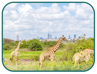 /images/destination/day-1_nairobi-arriva-sm_1.png