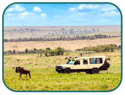 /images/destination/day-2_nairobi_masai_mara-sm-(1).png