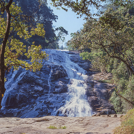 /images/destination/day-3_athirapilly-waterfalls_1.jpg
