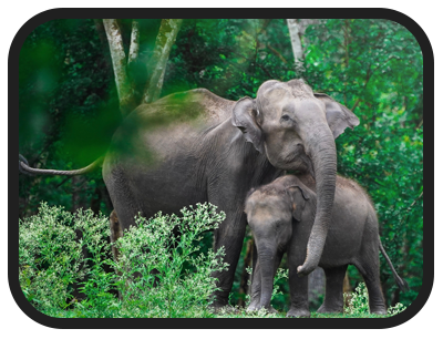 /images/destination/day-4-douth-india-unveiled_1.png