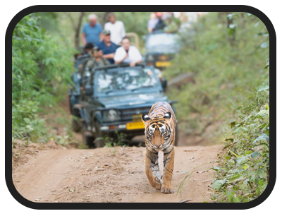 /images/destination/day-5-douth-india-unveiled_1.png