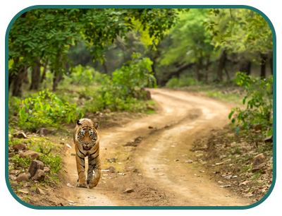 /images/destination/day-5-royal-t-kerala_1.jpg