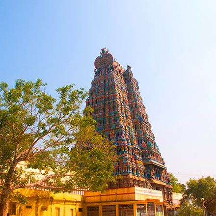 /images/destination/day-5_madurai_1.jpg