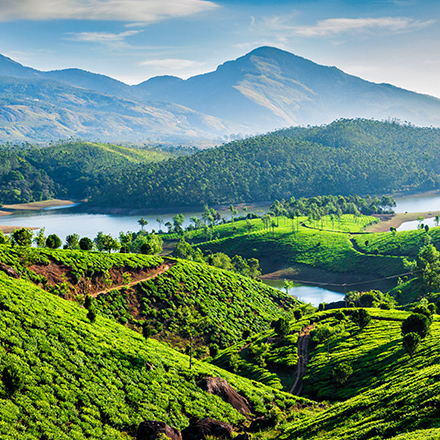 /images/destination/day-5_munnar_1.jpg