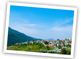 /images/destination/day-6_munnar-sightseeing_1.png