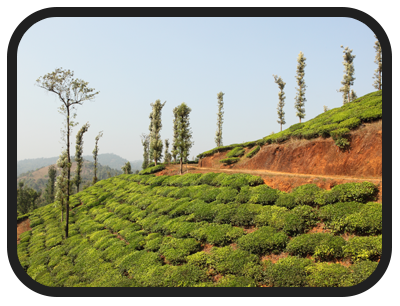 /images/destination/day-7-douth-india-unveiled_1.png