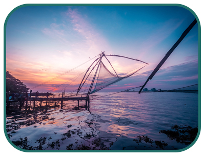/images/destination/day-7-golden-t-kerala_1.jpg