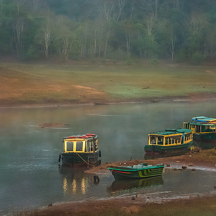 /images/destination/day-7_munnar-thekkady_1.jpg