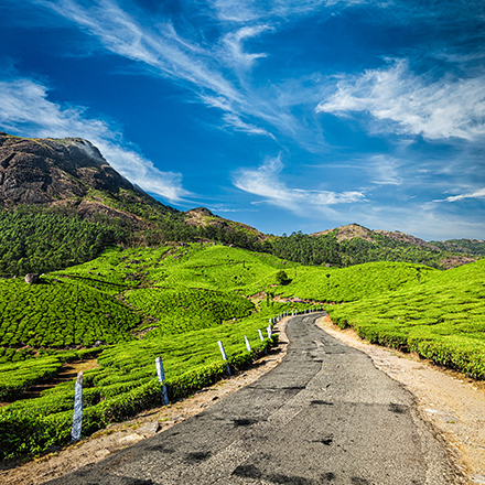 /images/destination/day-8_munnar_sigeeing_1.jpg