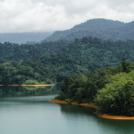 /images/destination/day-8_thekkady_1.jpg