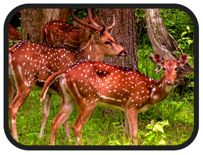 /images/destination/day-9-douth-india-unveiled_1.png