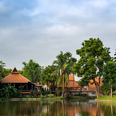 /images/destination/day-9_alleppey-backwater_1.jpg