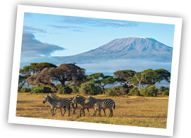 /images/destination/day1-amboseli-national-park_2.png