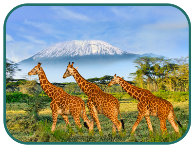 /images/destination/day1-kenya_amb-park_sm_1.png