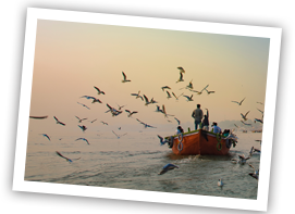 /images/destination/day10-tour-varanasi_1.png