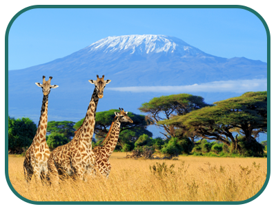 /images/destination/day3-kili-naivasha_sm_2.png