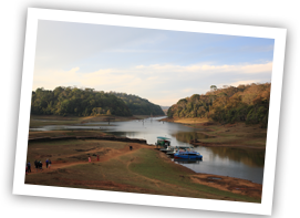 /images/destination/day4-cochin-wildlife-sanctuary_1.png