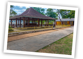 /images/destination/day7_kataragama-xs_1.png