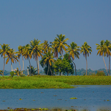 /images/destination/day8-alleppey-poovar_1.jpg