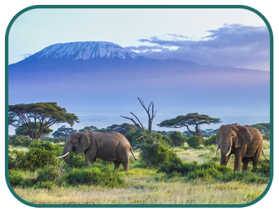 /images/destination/day_2-serengeti_national_park-sm_1.png