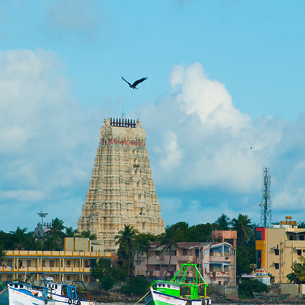 /images/destination/day_2_kochi-sightseeing-sm_1.jpg