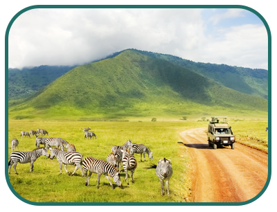 /images/destination/day_3-serengeti_national-park_sm_1.png